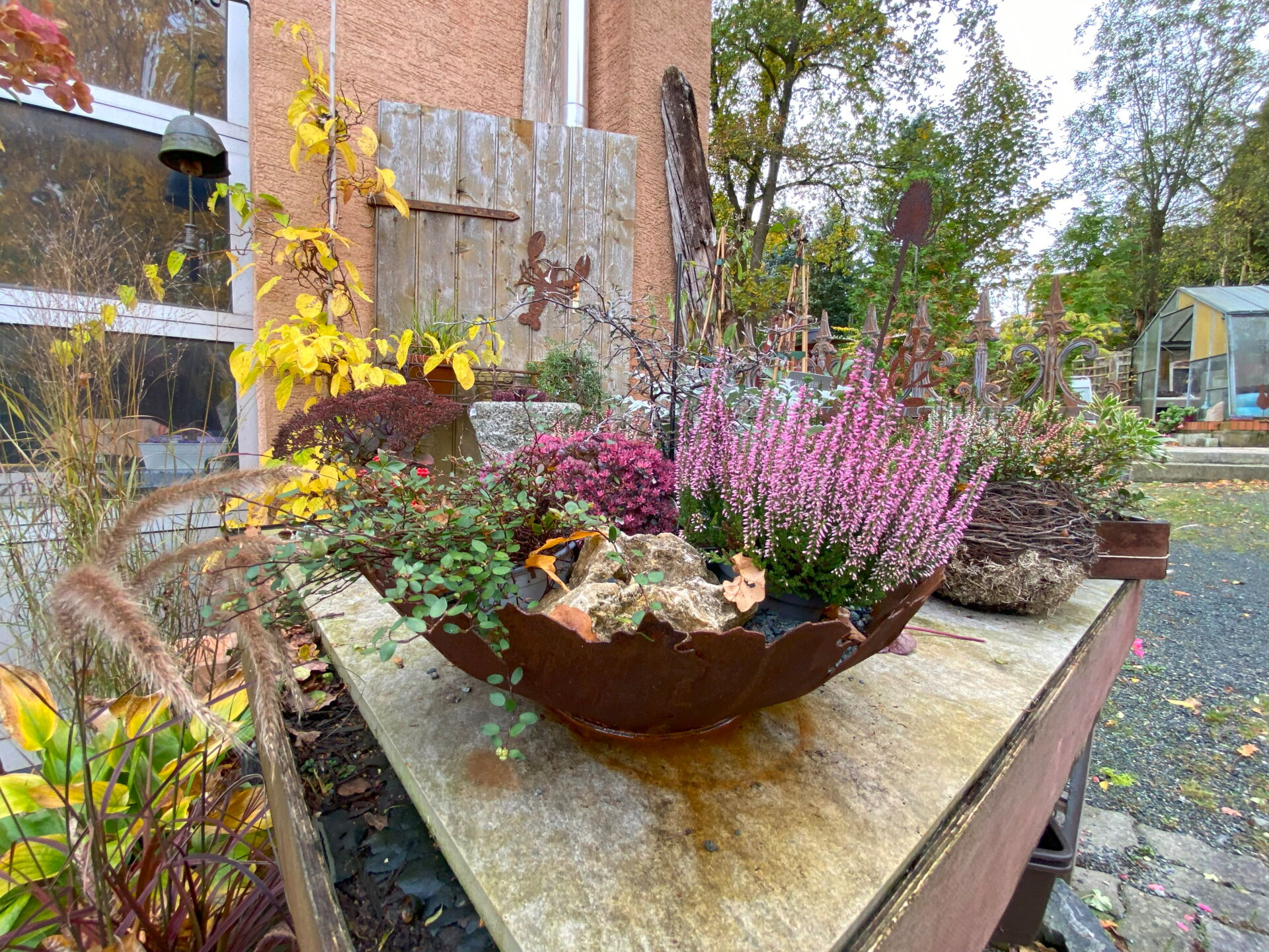 bepflanzte Metallschale in einem Garten. Bepflanzt mit Herbststauden